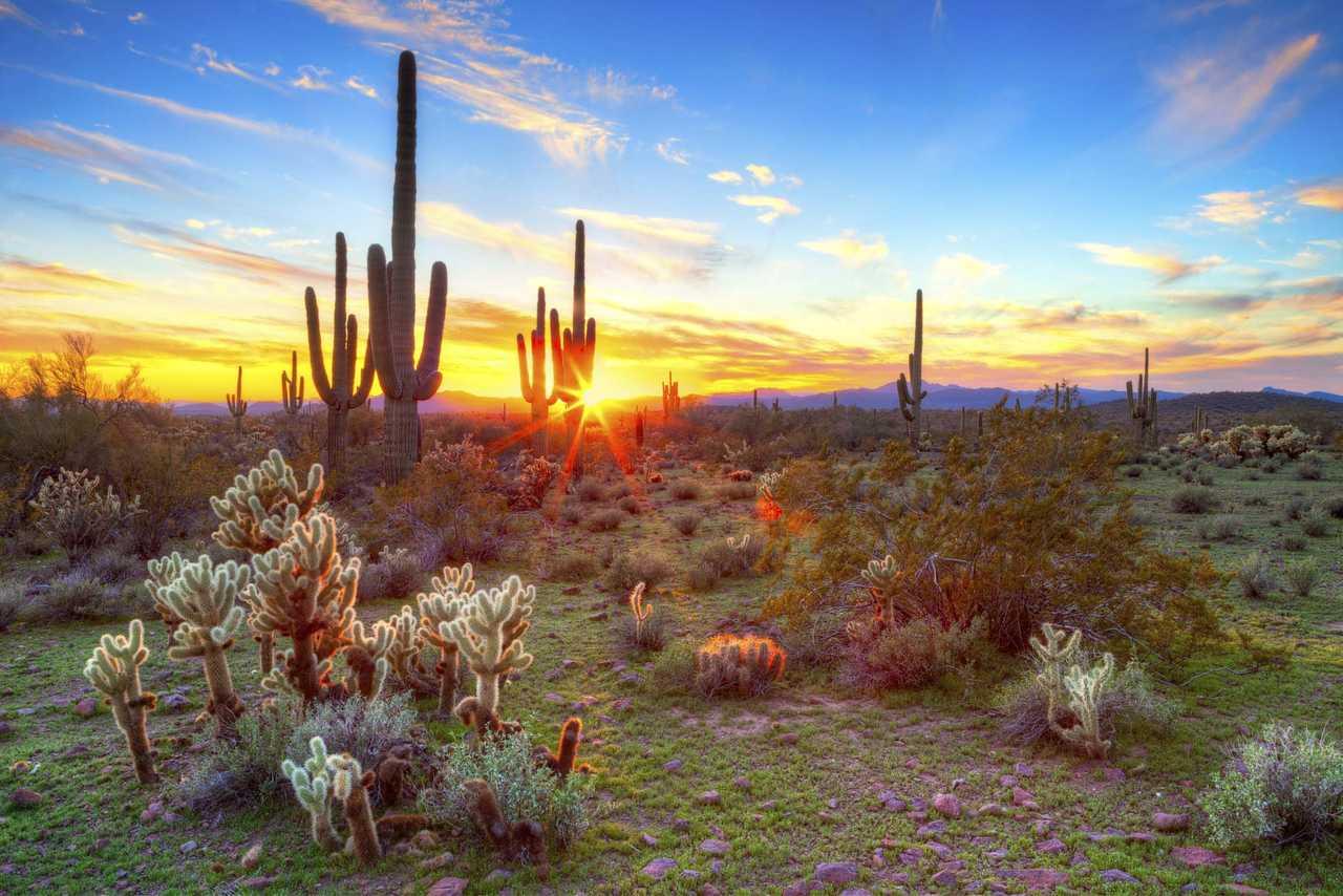 Cambria Hotel Phoenix - North Scottsdale Exteriér fotografie